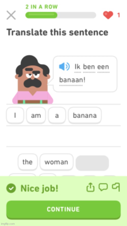 wut | image tagged in duolingo | made w/ Imgflip meme maker