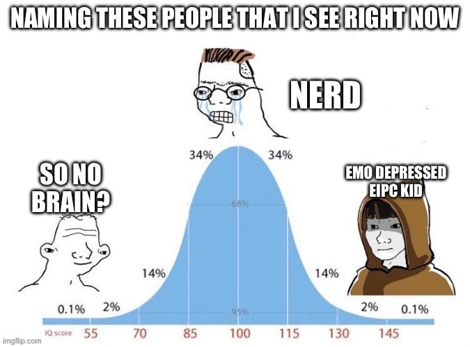 Bell Curve | NAMING THESE PEOPLE THAT I SEE RIGHT NOW; NERD; EMO DEPRESSED EIPC KID; SO NO BRAIN? | image tagged in bell curve | made w/ Imgflip meme maker