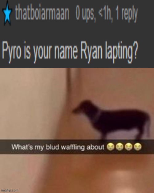 My name is not ryan lapting | image tagged in what's my blud waffling about | made w/ Imgflip meme maker