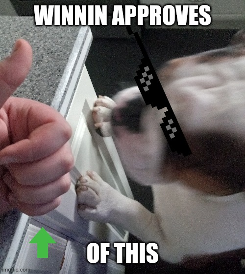 Winnin approval | WINNIN APPROVES; OF THIS | image tagged in winnin,approval | made w/ Imgflip meme maker