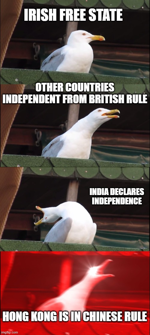 The decline of the british empire | IRISH FREE STATE; OTHER COUNTRIES INDEPENDENT FROM BRITISH RULE; INDIA DECLARES INDEPENDENCE; HONG KONG IS IN CHINESE RULE | image tagged in memes,inhaling seagull,british empire,dying | made w/ Imgflip meme maker