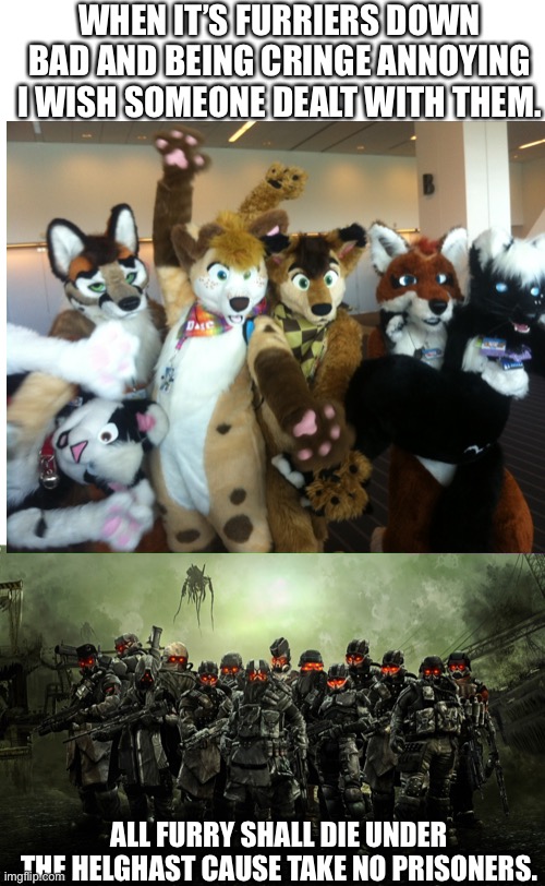 The anti-furry law | WHEN IT’S FURRIERS DOWN BAD AND BEING CRINGE ANNOYING I WISH SOMEONE DEALT WITH THEM. ALL FURRY SHALL DIE UNDER THE HELGHAST CAUSE TAKE NO PRISONERS. | image tagged in killzone | made w/ Imgflip meme maker