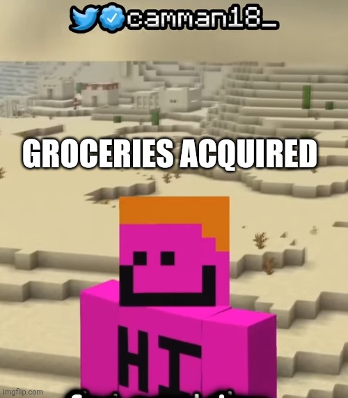 Camman18: acquired | GROCERIES ACQUIRED | image tagged in camman18 acquired | made w/ Imgflip meme maker