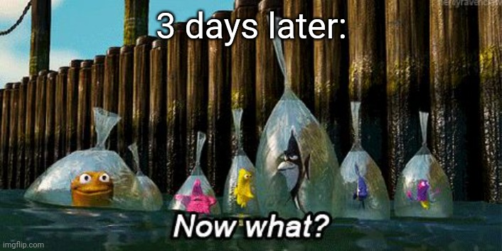Now What? | 3 days later: | image tagged in now what | made w/ Imgflip meme maker