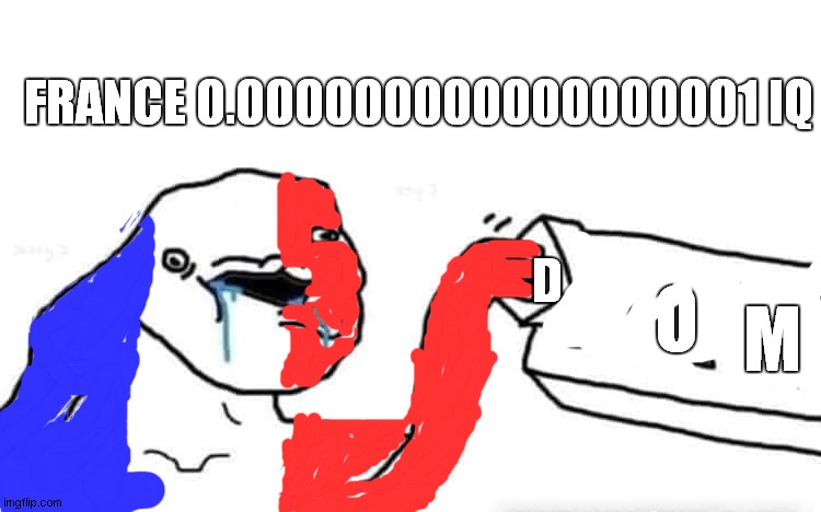 france 0.00000000000001 iq | FRANCE 0.000000000000000001 IQ; D; O; M | image tagged in stupid dumb drooling puzzle | made w/ Imgflip meme maker