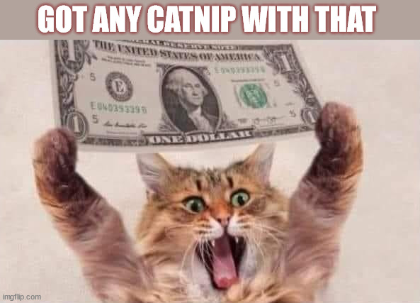 GOT ANY CATNIP WITH THAT | image tagged in catnip | made w/ Imgflip meme maker