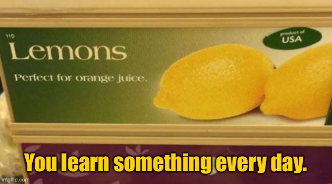How to make orange juice | You learn something every day. | image tagged in perfect for orange juice,lemons,yes use lemons,you had one job | made w/ Imgflip meme maker