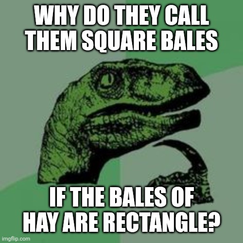Curious | WHY DO THEY CALL THEM SQUARE BALES; IF THE BALES OF HAY ARE RECTANGLE? | image tagged in time raptor,philosoraptor,memes,funny,farming | made w/ Imgflip meme maker