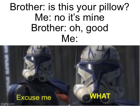 Meme #1,791 | Brother: is this your pillow?
Me: no it’s mine
Brother: oh, good
Me: | image tagged in excuse me what,memes,pillow,the what,hold up,wait a minute | made w/ Imgflip meme maker