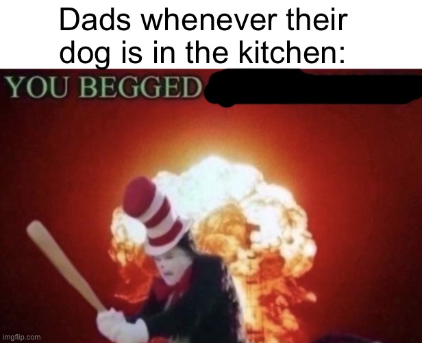 Meme #1,792 | Dads whenever their dog is in the kitchen: | image tagged in memes,so true,dads,dogs,begging,beggar | made w/ Imgflip meme maker