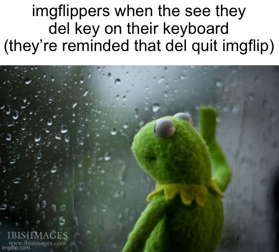 Meme #1,793 | imgflippers when the see they del key on their keyboard (they’re reminded that del quit imgflip) | image tagged in kermit window,memes,deleted,quitting,imgflip,sad | made w/ Imgflip meme maker
