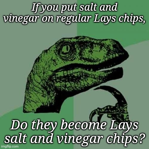 Shower thought | If you put salt and vinegar on regular Lays chips, Do they become Lays salt and vinegar chips? | image tagged in memes,philosoraptor | made w/ Imgflip meme maker