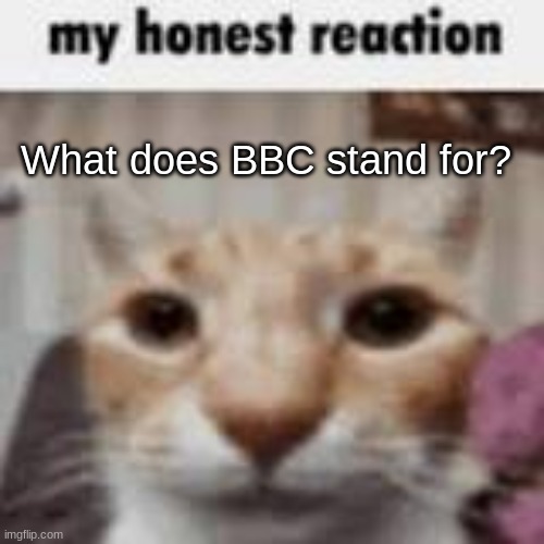 My Honest Reaction | What does BBC stand for? | image tagged in my honest reaction,caught you lacking | made w/ Imgflip meme maker