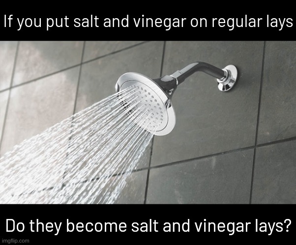 Shower Thoughts | If you put salt and vinegar on regular lays; Do they become salt and vinegar lays? | image tagged in shower thoughts | made w/ Imgflip meme maker