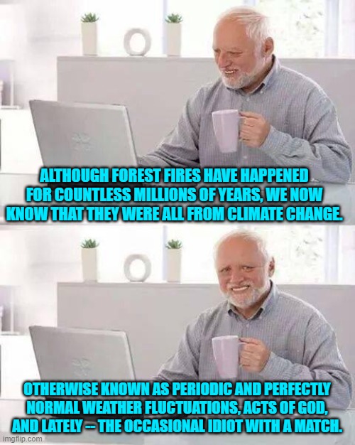 Volcanoes are climate change . . . and hurricanes and ducks farting in a pond. | ALTHOUGH FOREST FIRES HAVE HAPPENED FOR COUNTLESS MILLIONS OF YEARS, WE NOW KNOW THAT THEY WERE ALL FROM CLIMATE CHANGE. OTHERWISE KNOWN AS PERIODIC AND PERFECTLY NORMAL WEATHER FLUCTUATIONS, ACTS OF GOD, AND LATELY -- THE OCCASIONAL IDIOT WITH A MATCH. | image tagged in hide the pain harold | made w/ Imgflip meme maker