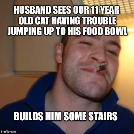 Good Guy Greg Meme | HUSBAND SEES OUR 11 YEAR OLD CAT HAVING TROUBLE JUMPING UP TO HIS FOOD BOWL BUILDS HIM SOME STAIRS | image tagged in memes,good guy greg,AdviceAnimals | made w/ Imgflip meme maker