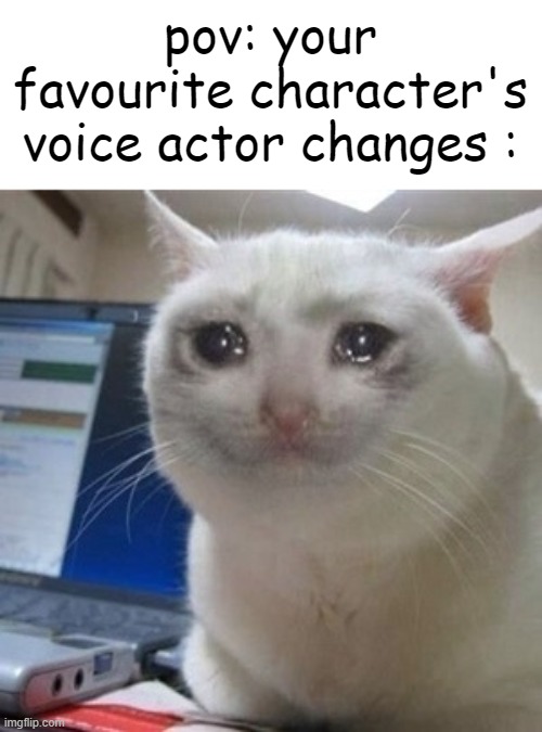 This usually happens at the start off a new season, I'm guessing. | pov: your favourite character's voice actor changes : | image tagged in crying cat,relatable,bruh,memes,funny,cats | made w/ Imgflip meme maker