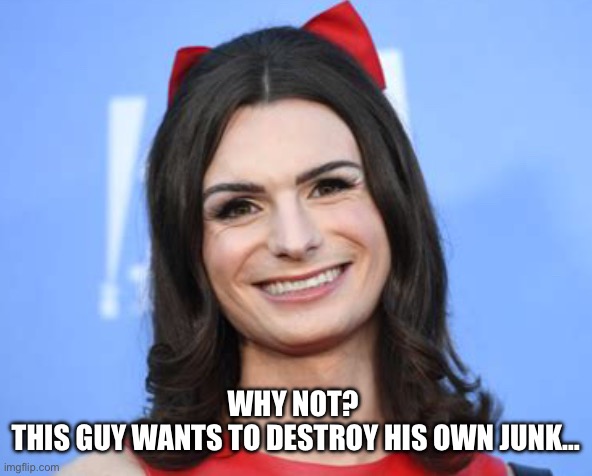 Dylan Mulvaney | WHY NOT? 
THIS GUY WANTS TO DESTROY HIS OWN JUNK… | image tagged in dylan mulvaney | made w/ Imgflip meme maker