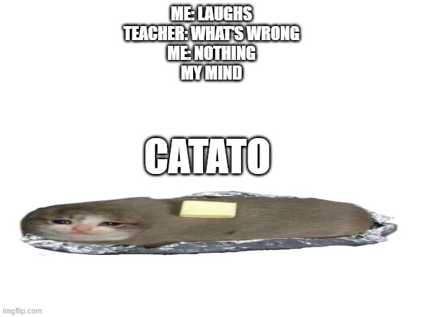 CATATO | ME: LAUGHS
TEACHER: WHAT'S WRONG
ME: NOTHING
MY MIND; CATATO | image tagged in catato,potato,cats | made w/ Imgflip meme maker