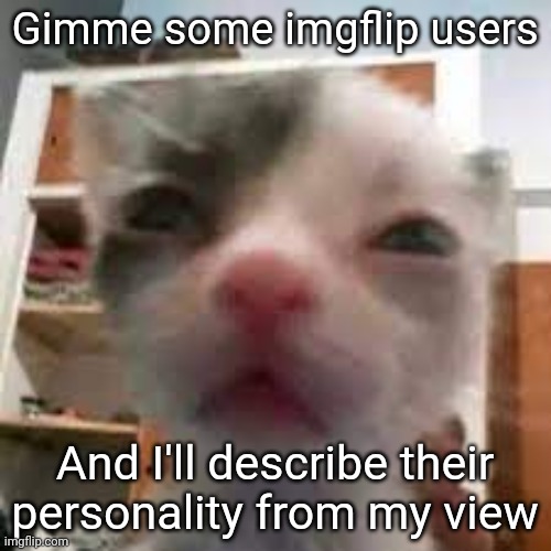 Cat lightskin stare | Gimme some imgflip users; And I'll describe their personality from my view | made w/ Imgflip meme maker