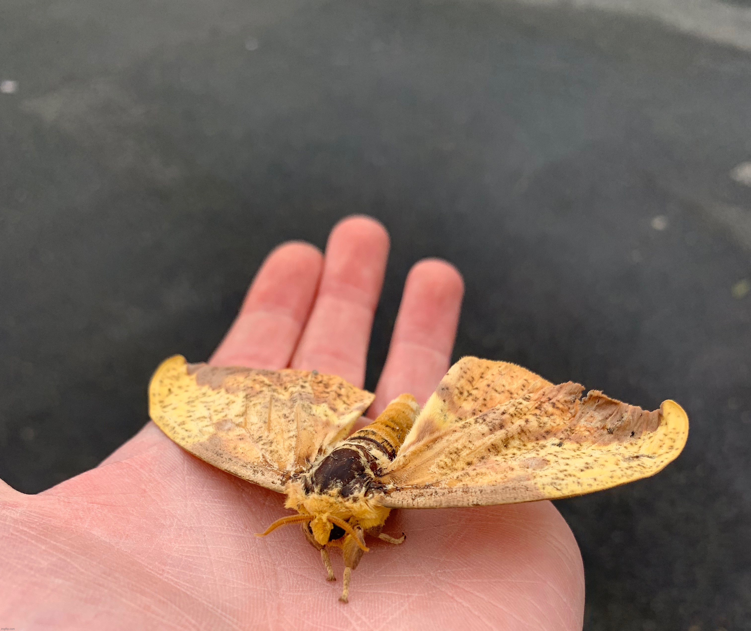 Keep seeing these dudes | made w/ Imgflip meme maker