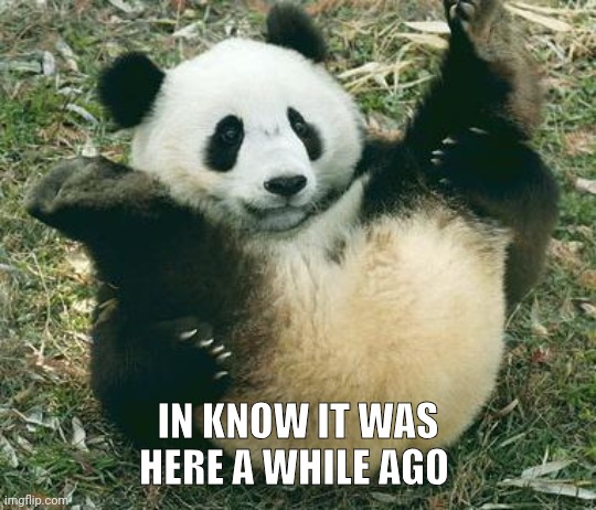 pandabutt | IN KNOW IT WAS HERE A WHILE AGO | image tagged in pandabutt | made w/ Imgflip meme maker