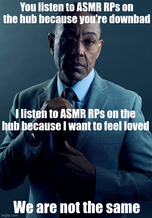 They're good though. | You listen to ASMR RPs on the hub because you're downbad; I listen to ASMR RPs on the hub because I want to feel loved; We are not the same | image tagged in gus fring we are not the same | made w/ Imgflip meme maker