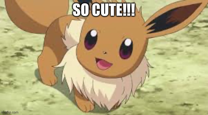 Eevee | SO CUTE!!! | image tagged in eevee | made w/ Imgflip meme maker