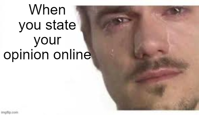 Bro Please Bro | When you state your opinion online | image tagged in bro please bro | made w/ Imgflip meme maker