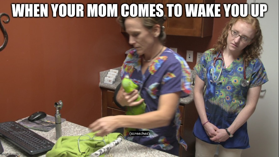 bro..... | WHEN YOUR MOM COMES TO WAKE YOU UP | image tagged in funny memes | made w/ Imgflip meme maker