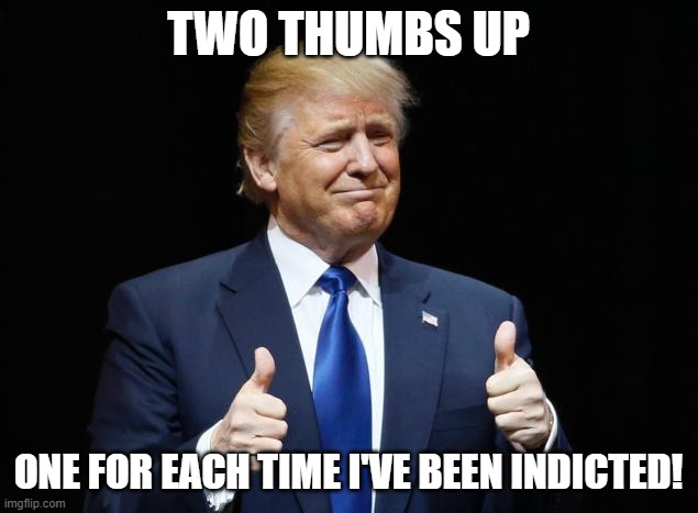 Donald Trump Thumbs Up | TWO THUMBS UP; ONE FOR EACH TIME I'VE BEEN INDICTED! | image tagged in donald trump thumbs up | made w/ Imgflip meme maker