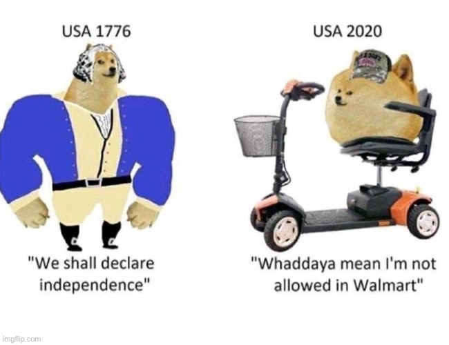 America Then And Now | image tagged in america,doge | made w/ Imgflip meme maker