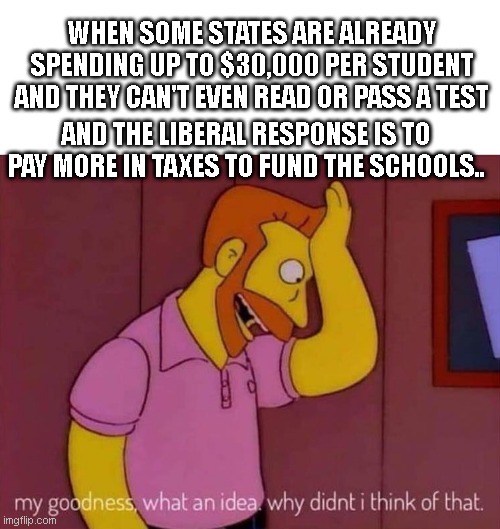 Liberal answer to everything, even when it does nothing | WHEN SOME STATES ARE ALREADY SPENDING UP TO $30,000 PER STUDENT AND THEY CAN'T EVEN READ OR PASS A TEST; AND THE LIBERAL RESPONSE IS TO PAY MORE IN TAXES TO FUND THE SCHOOLS.. | image tagged in my goodness what an idea why didn't i think of that | made w/ Imgflip meme maker