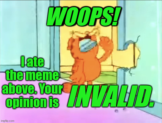 Get drywall'd. | WOOPS! WOOPS! WOOPS! I ate the meme above. Your opinion is; INVALID. | image tagged in garfield drywall | made w/ Imgflip meme maker