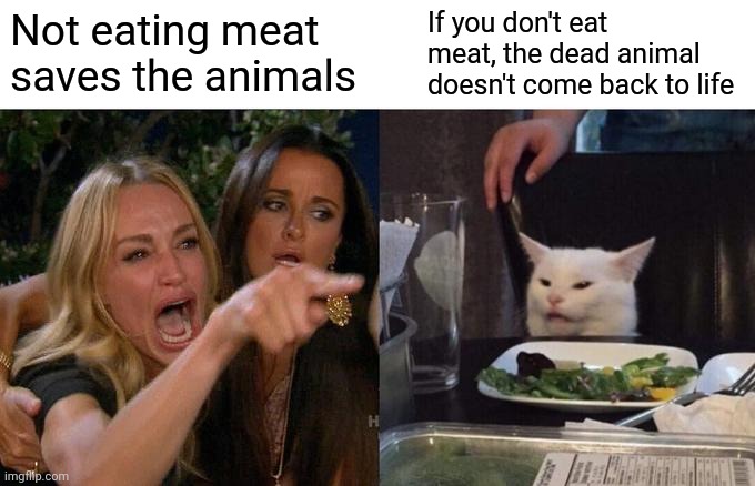 Woman Yelling At Cat | If you don't eat meat, the dead animal doesn't come back to life; Not eating meat saves the animals | image tagged in memes,woman yelling at cat,cat,cats,funny,vegans | made w/ Imgflip meme maker