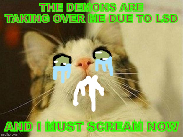 Scared Cat Meme | THE DEMONS ARE TAKING OVER ME DUE TO LSD; AND I MUST SCREAM NOW | image tagged in memes,scared cat | made w/ Imgflip meme maker