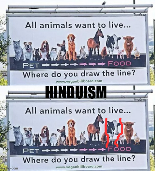Hinduism | HINDUISM | image tagged in cow,hinduism | made w/ Imgflip meme maker