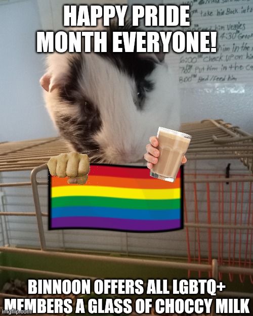 Blinnoon hangs a pride flag on his cage | HAPPY PRIDE MONTH EVERYONE! BINNOON OFFERS ALL LGBTQ+ MEMBERS A GLASS OF CHOCCY MILK | image tagged in blinnoon,pride,pride month | made w/ Imgflip meme maker