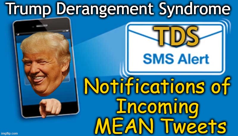 Trump Derangement Syndrome; TDS; Notifications of 
Incoming 
MEAN Tweets | made w/ Imgflip meme maker