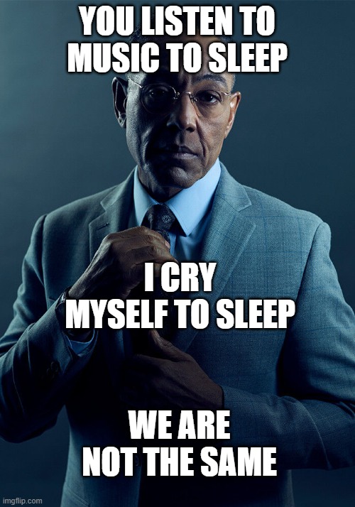 Gus Fring we are not the same | YOU LISTEN TO MUSIC TO SLEEP; I CRY MYSELF TO SLEEP; WE ARE NOT THE SAME | image tagged in gus fring we are not the same | made w/ Imgflip meme maker