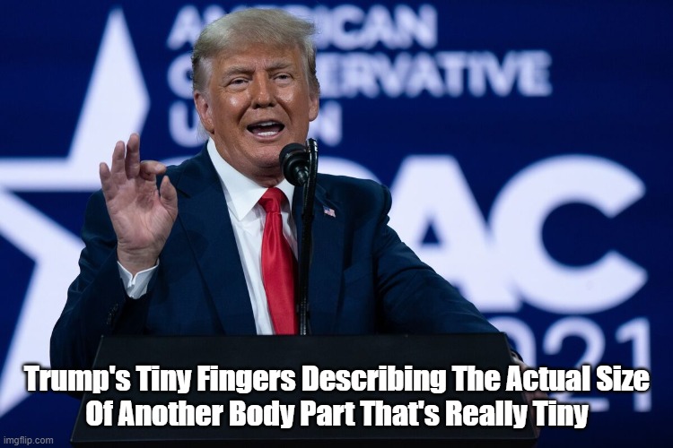Trump's Tiny Fingers Describing Another Really Tiy Body Part | Trump's Tiny Fingers Describing The Actual Size
Of Another Body Part That's Really Tiny | image tagged in trump,tiny finger,dickhead | made w/ Imgflip meme maker