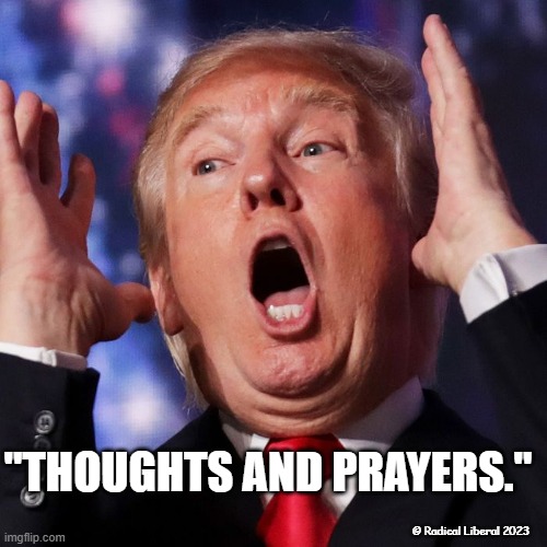 Thoughts and Prayers | "THOUGHTS AND PRAYERS."; © Radical Liberal 2023 | made w/ Imgflip meme maker