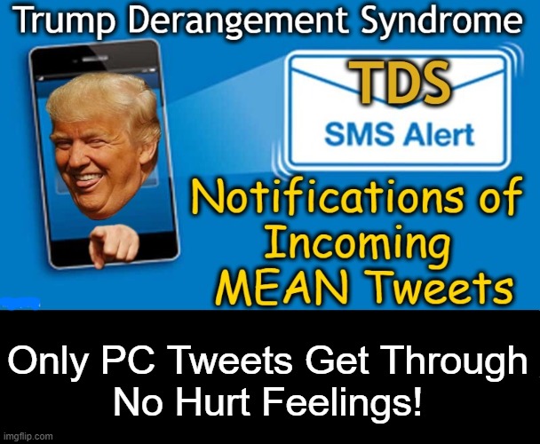 Share with all of your liberal friends! | Only PC Tweets Get Through
No Hurt Feelings! | image tagged in politics lol,donald trump approves,no more mean tweets,no hurt feelings,alert,political humor | made w/ Imgflip meme maker