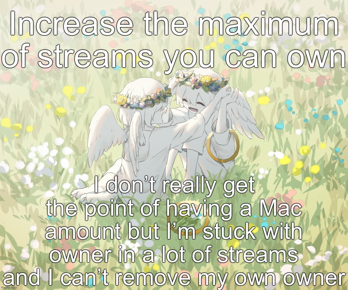 Avogado6 | Increase the maximum of streams you can own; I don’t really get the point of having a Mac amount but I’m stuck with owner in a lot of streams and I can’t remove my own owner | image tagged in avogado6 | made w/ Imgflip meme maker