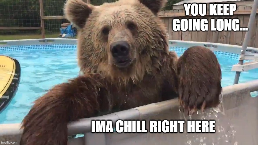 Bear market | YOU KEEP GOING LONG... IMA CHILL RIGHT HERE | image tagged in bear | made w/ Imgflip meme maker