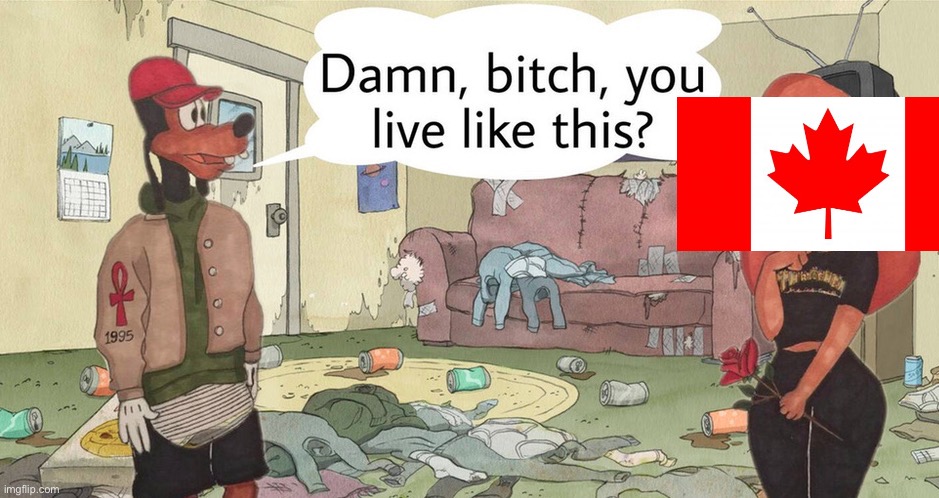 Damn, bitch, you live like this? | image tagged in damn bitch you live like this | made w/ Imgflip meme maker