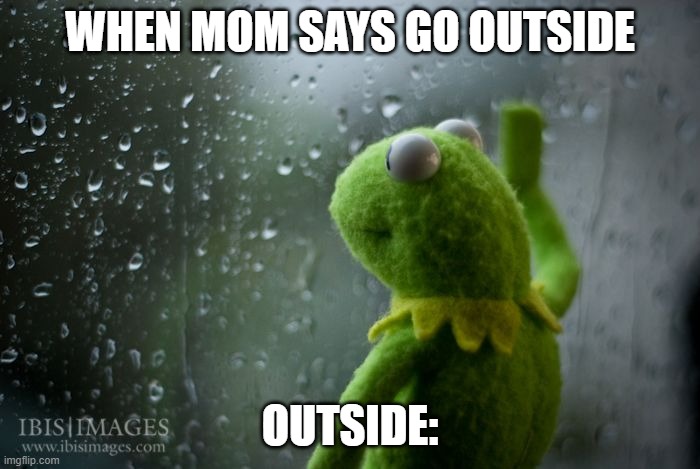 kermit window | WHEN MOM SAYS GO OUTSIDE; OUTSIDE: | image tagged in kermit window | made w/ Imgflip meme maker