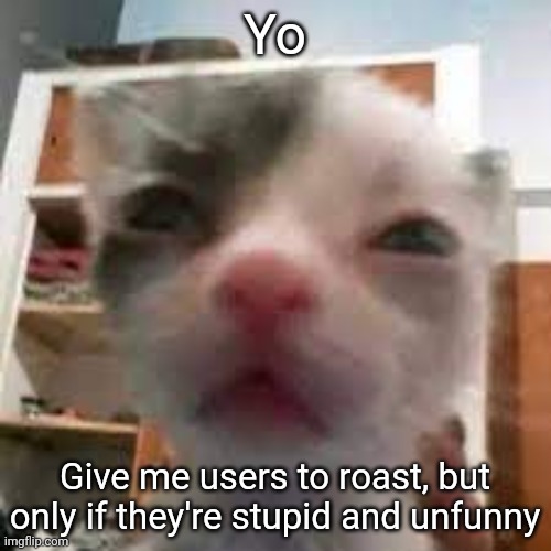 Cat lightskin stare | Yo; Give me users to roast, but only if they're stupid and unfunny | image tagged in cat lightskin stare | made w/ Imgflip meme maker