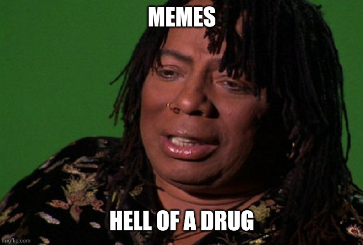 cocaine hell of a drug | MEMES HELL OF A DRUG | image tagged in cocaine hell of a drug | made w/ Imgflip meme maker