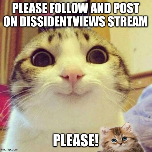 Smiling Cat | PLEASE FOLLOW AND POST ON DISSIDENTVIEWS STREAM; PLEASE! | image tagged in memes,smiling cat | made w/ Imgflip meme maker